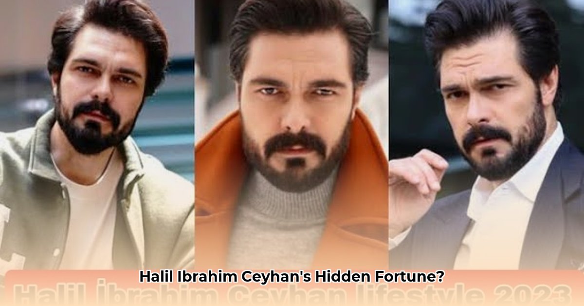 halil-ibrahim-ceyhan-net-worth